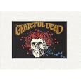 GRATEFUL DEAD Skulls Matted Photo Picture Card