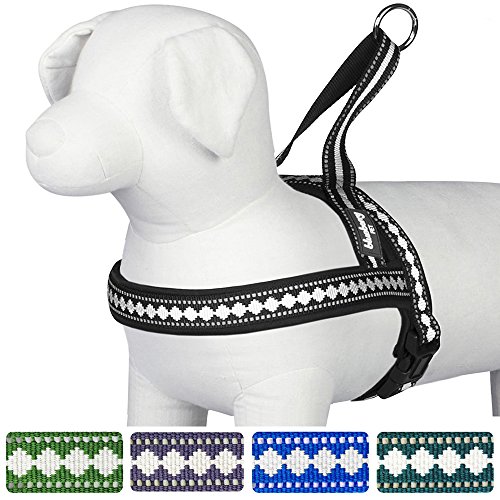 Blueberry Pet Harnesses Classic Solid No Pull Jacquard Print Neoprene Padded Dog Harness in Black 3/4" Medium
