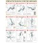 Abdomen Poster