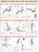 Strength Training Anatomy: Strength Training for the Abdomen Poster by Frederic Delavier ISBN 0736059369
