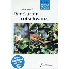Der Gartenrotschwanz. Phoenicurus phoenicurus