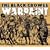 Warpaint