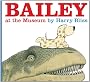 Bailey at the Museum