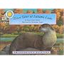 River Otter at Autumn Lane (Smithsonian's Backyard) (Smithsonian's Backyard)