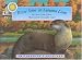 River Otter at Autumn Lane (Smithsonian's Backyard) (Smithsonian's Backyard) by Laura Gates Galvin