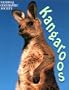 Kangaroos (Animal Safari)