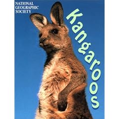 Kangaroos (Animal Safari)