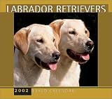 Labrador Retrievers: 2002