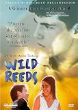 Wild Reeds Wild Reeds