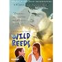 Wild Reeds