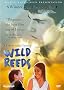 Wild Reeds