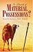 Book In Search of Material Possessions? True Prosperity Without the Doctrine