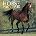Horse Tails And Trails: A Fun And Informative Collection Of Everything Equine