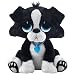 Rescue Pets  Border Collie