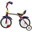 Radio Flyer Grow 'N Go Bike