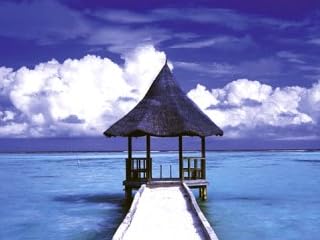 ��ĥǥ��� �ϥå� [�ݥ�����]