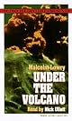 Under the Volcano