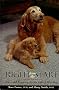 Right From The Start - Care and Training For the Life of Your Dog