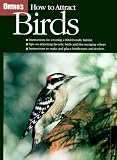 How to Attract Birds