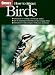 Book How to Attract Birds