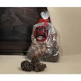 Chimney 47148 Magical Color Pine Cones 2.5 lb. Bag Burn Blue and Green