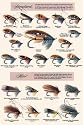 Art Poster, Fly-Fishing Lures: Standard and Hair - 18.75 x 27.5