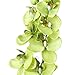 1 x Artificial Butterfly Orchid Flower Plant Home Decor - Green