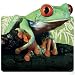 Green Tree Frog Computer Mouse Pad