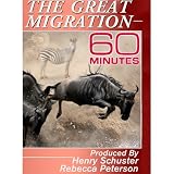51B9We70y8L. SL160  60 Minutes   The Great Migration