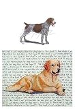 German Wirehair Pointer Glass Cutting Board