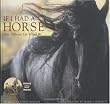 If I Had a Horse: How Different Life Would Be
