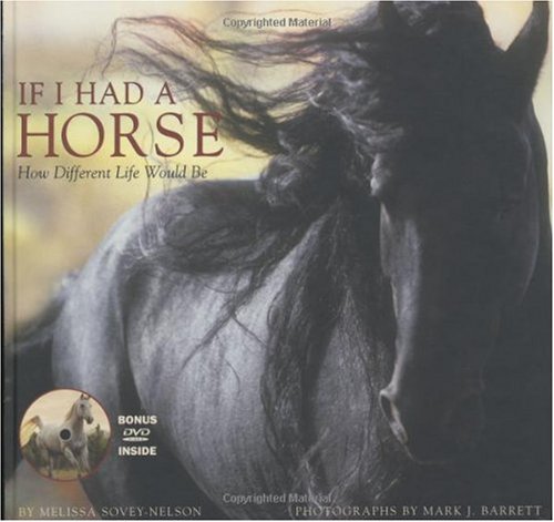 If I Had a Horse: How Different Life Would Be