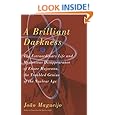 A Brilliant Darkness: The Extraordinary Life and Mysterious Disappearance of Ettore Majorana, the Troubled Genius of the Nuclear Age