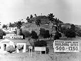 Real Estate Agent Roger W. Salmons Office on Hollywood Hillside Photographic Poster Print by Alfred Eisenstaedt, 30x40 51B9ng361tL. SL160 Real Estate Agent Roger W. Salmons Office on Hollywood Hillside Photographic Poster Print by Alfred Eisenstaedt, 30x40