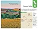 Lonely Planet California's Best Trips (Lonely Planet Road Trips)
