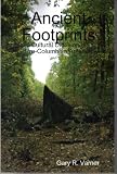 Ancient Footprints: Cultural Diffusion in Pre-Columbian America