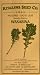 Salad Leaf Mustard Wasabina Seeds