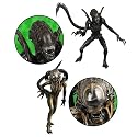 Aliens vs. Predator: Requiem Series 1 Action Figure Set