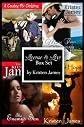 License to Love: Holiday Box Set (Contemporary Romance)