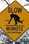 Slow Monkeys and Other Stories