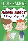 [Marvin Redpost: A Flying Birthday Cake] (By: Louis Sachar) [published: April, 2000]
