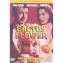 Cactus Flower [DVD] [1969]