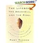 Lifebox, the Seashell, and the Soul: What Gnarly Computation Taught Me About Ultimate Reality, the Meaning of Life, and How to Be Happy