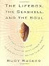 Lifebox, the Seashell, and the Soul: What Gnarly Computation Taught Me About Ultimate Reality, the Meaning of Life, and How to Be Happy