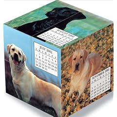Labrador Retrievers 2002 Mental Block Calendar