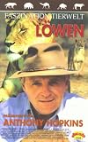 Faszination Tierwelt - L�wen pr�sentiert von Anthony Hopkins - Sir Anthony Hopkins