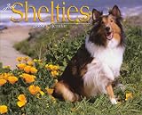 Just Shelties 2004 Calendar