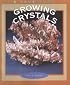 Growing Crystals (True Books)