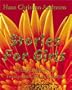 Stories for Girls: Lovingly Adapted for Twenty-First Century Children