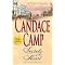 Favorite chick lit historical or regency romance series (List 4)